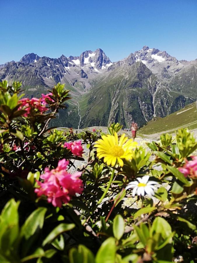 Haus Bergwind Daire Sankt Leonhard im Pitztal Dış mekan fotoğraf