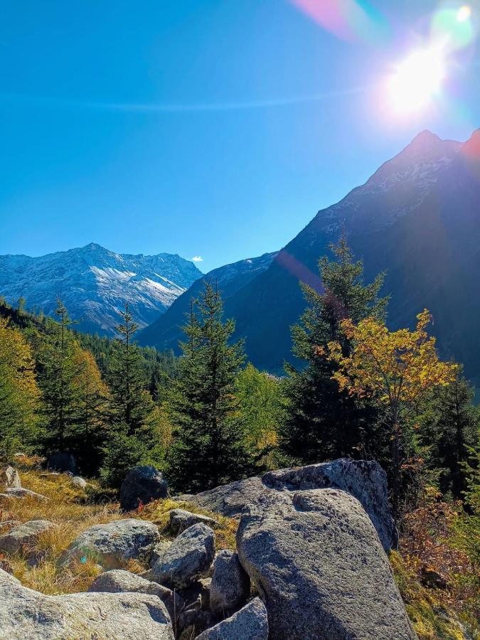 Haus Bergwind Daire Sankt Leonhard im Pitztal Dış mekan fotoğraf